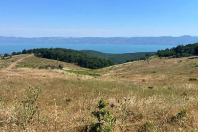 Bakanlık İznik’te kalker ocağına onay verdi