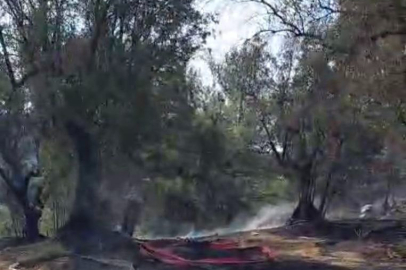 Mudanya'da korkutan yangın büyümeden söndürüldü