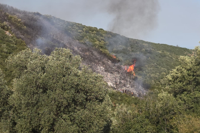 Gedelek Köyü'ndeki orman yangını kontrol altına alındı