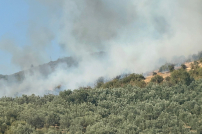 Bursa'da yangının biri bitiyor, diğeri başlıyor