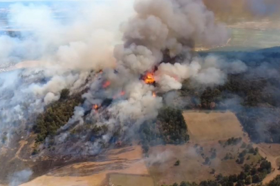 Yenişehir'deki orman yangını kontrol altına alındı, Bursa-Bilecik kara yolu trafiğe açıldı