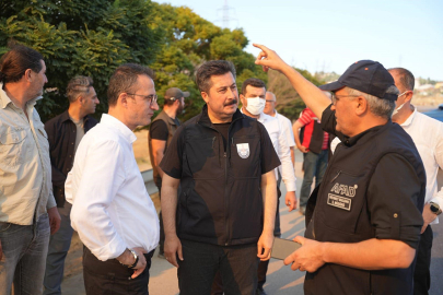 Yenişehir’de yanan orman alanı 100 hektar