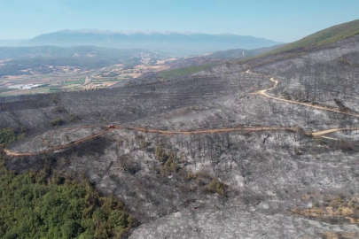 Yenişehir'de yanan ormanlık alandan gri görüntü kaldı