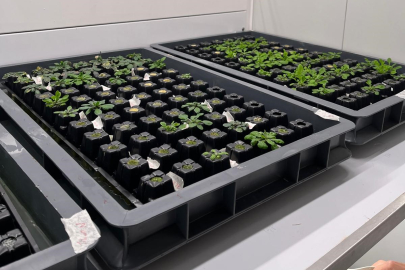 İklim değişikliği ve uzay çalışmaları için Bursa Uludağ Üniversitesi'nden önemli proje