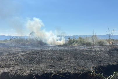 İznik Boyalıca’da sazlık yangını: 100 dönüm alan küle döndü