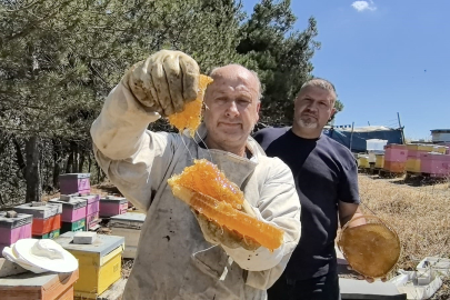 Bursa'da üretilen bu bal her derde deva