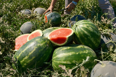 Karpuzun fiyatı 70 kilometrede 30'a katlanıyor
