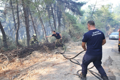 Bozbey: Yangınların tesadüfen çıktığına inanmıyorum