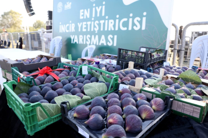 Akçalar 11'inci incir festivaline hazırlanıyor