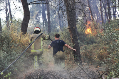 Osmangazi'deki orman yangını kontrol altına alındı