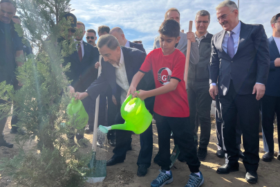 Bursa'da yılın ilk dersi 'orman yangınları' oldu