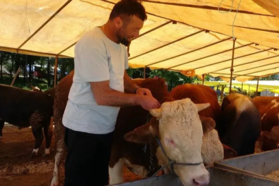 Şap hastalığından kapanan hayvan pazarları yeniden açıldı