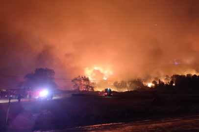Karacabey'de ormanlık alanda yangın çıktı