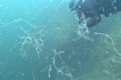 Müsilaj Marmara Sivriada'da görünür hale geldi