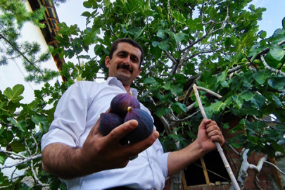 'Bursa Karası'nı Erzurum’da yetiştirdi