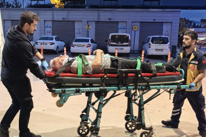 Ceviz ağacından düşen vatandaş ağır yaralandı