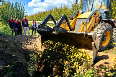 Bursa'da pestisit bulunan 40 ton armut imha edildi