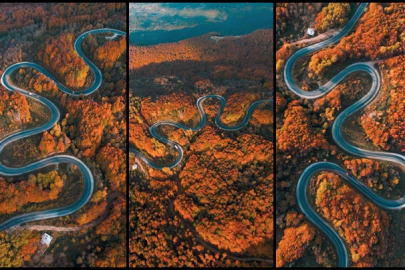 Bursa'da sonbaharla ormanlara gelen renk cümbüşü