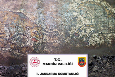 'Anadolu Mirası' operasyonunda 1500 yıllık mozaik ele geçirildi