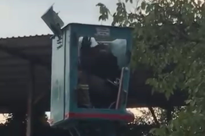 Bursa'da vinç üstünde 'arı alarmı'