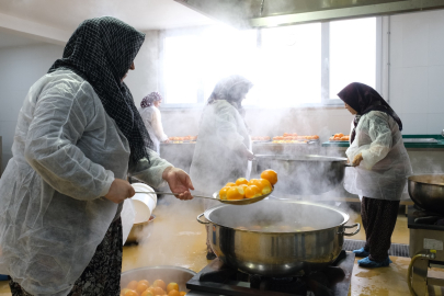 Nilüfer çiftçisi üretecek İstanbul ve Eskişehir tüketecek