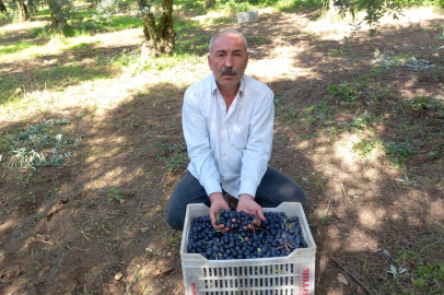 CHP’li Eşiyok’tan Marmarabirlik’e sert tepki: 'Bir avuç üyeli kooperatif kadar olamadınız'
