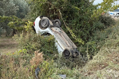 Sollama yaparken zeytinliğe uçtu