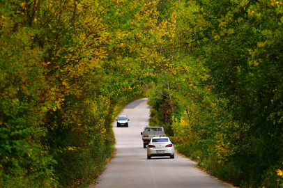 Sonbaharın renk cümbüşü Uludağ eteklerinde