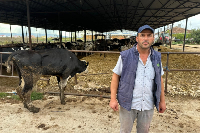 Yenişehir'de şap hastalığı: 'Deprem gibi oldu, yıktı geçti'