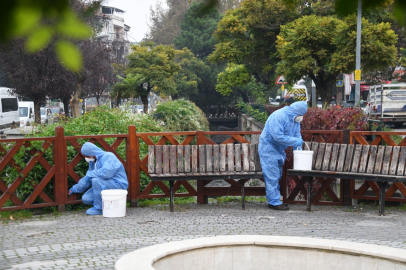 Osmangazi'de kemirgenlere karşı ilaçlama çalışması başlatıldı