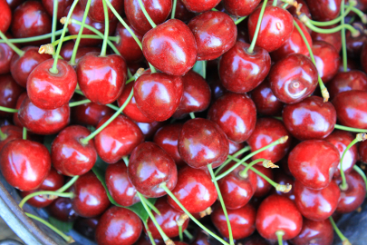 Türkiye dondurulmuş kirazda dünya lideri