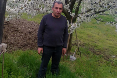 Budamak için çıktığı söğüt ağacından düşen vatandaş hayatını kaybetti