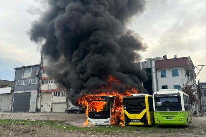 Park halindeki otobüsler cayır cayır yandı