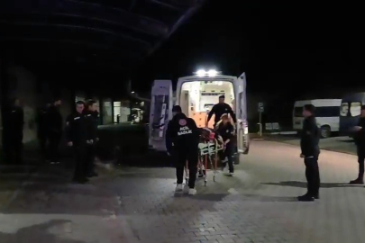 Gemlik’te zeytinlikte bıçaklı saldırı; 1 ağır yaralı