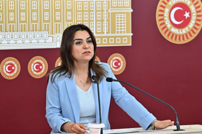 DEM Partili Koçyiğit, İmralı görüşmesinin detaylarını anlattı