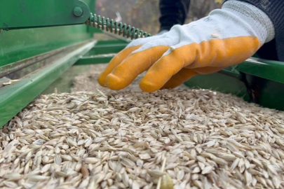 TMO'nun Ekim 2025 raporuna 'gübre fiyatlarının yüksekliği' de girdi