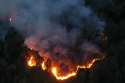 Hopa’da 5 hektarlık orman yandı
