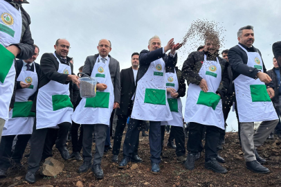 Harmancık'ta yanan 4 bin 256 hektar alan ağaçlandırılıyor