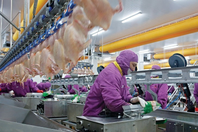 Son beş yılın üretim ve tüketim şampiyonu beyaz et