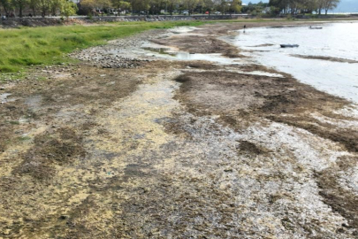 İznik Gölü kururken Cargill’in 1 milyon m³ su çektiği iddia edildi