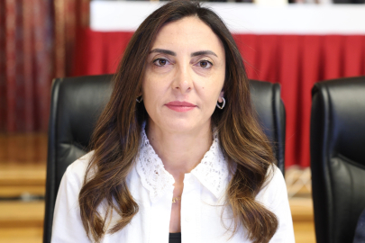 'Özgür sanat olmadan demokrasi olmaz'