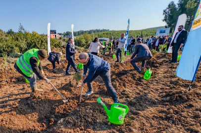 Kastamonulular İzmir’de yanan ormanların yerine fidan diktiler