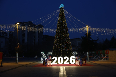 Nilüfer'de yeni yıl festivali başladı