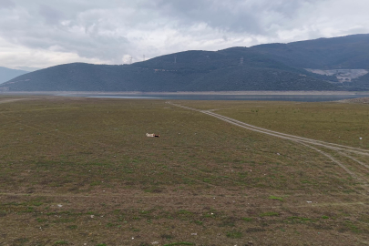 Kestel'deki Gölbaşı göletinde tehlike çanları çalıyor