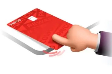 PAYCO'da ikinci dalga: 15 tutuklama