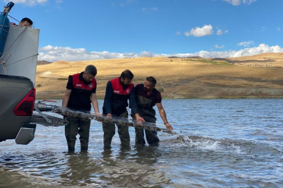 Türkiye nüfusu kadar balık deniz ve göllere bırakıldı