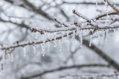Valilikten buzlanma ve don uyarısı