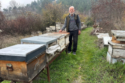 Zirai ilaç yüzünden milyonlarca arı kovanlarına dönemeden öldü