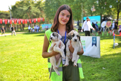 Bursa Büyükşehir patili dostların yanında