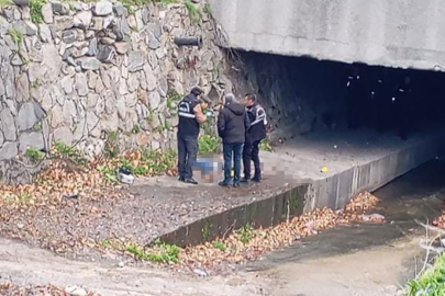 Gökdere'de erkek cesedi bulundu